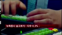 뉴욕증시, 숨고르기 장세…다우 0.35% 하락