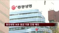 동양생명 보유 동양 지분 전량 매도