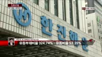 [집중관찰] 한진해운 (4)재무분석 - 서민석 하나대투증권 차장