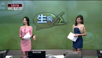 [집중관찰] 한진해운 (8) 특징분석 - 최현덕 MBN골드 전문가, 신영목 메리츠종금증권 강서지점 팀장