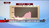[집중관찰] 한화케미칼 (3) 이슈 분석 - 송정운 동부증권 청담금융센터 차장