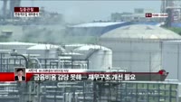 [집중관찰] 한화케미칼 (5) 재무분석 - 서민석 하나대투증권 차장