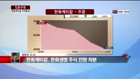 [집중관찰] 한화케미칼 (6) 주주분석 - 정영석 M머니 기자