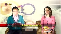 [집중관찰] 한화케미칼 (10) 종합분석 - 가의현 · 이광무 MBN골드 전문가