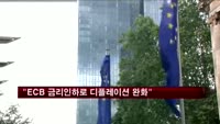 "ECB 금리인하 목적은 디플레이션 완화"