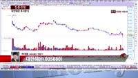 [집중관찰] 대한해운 (7) 투자분석 - 차대웅 MBN골드 전문가