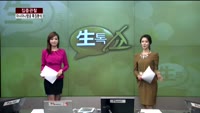 [집중관찰] 아시아나항공 (8) 특징분석 - 김용환 MBN골드 전문가, 김현겸 동부증권 마포지점 팀장