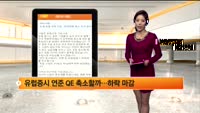[해외시황] 뉴욕,유럽 하락 마감 ,,양적완화 축소 우려 짙어