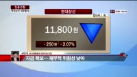 [집중관찰] 현대상선 (5) 재무분석 - 서민석 하나대투증권 차장