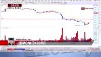 [집중관찰] 동부CNI (8) 투자분석 - 차대웅 MBN골드 전문가