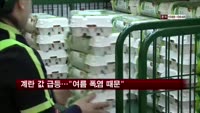 계란 값 급등…"여름 폭염 때문"