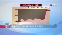 [집중관찰] LIG손해보험 (7) 미래분석 - 김혜란 동부증권 연구원