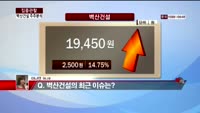 [집중관찰] 벽산건설 (4) 주주분석 - 이나연 M머니 기자