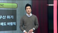 [이슈HOT5] 이슈 HOT5