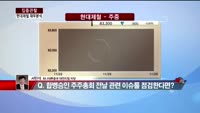 [집중관찰] 현대제철 (3) 재무분석- 서민석 하나대투증권 차장