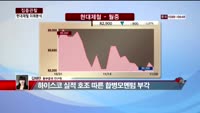 [집중관찰] 현대제철 (5) 미래분석 - 김혜란 동부증권 연구원