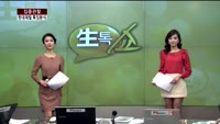 [집중관찰] 현대제철 (7) 특징분석 - 신영목 메리츠종금증권 강서지점 팀장, 최현덕 MBN골드 전문가