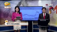 [종목상담] 케이디씨(029480)