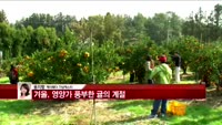 [날씨와경영] 큰 추위 없이 온화한 날씨