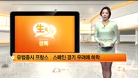 [해외시황] 유럽, 뉴욕 경제지표 발표 후 하락 
