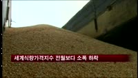 11월 세계식량가격지수 전월보다 0.3포인트↓
