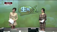 [집중관찰] LG하우시스 (9) 특징분석 - 김용환 MBN골드 전문가, 최영석 동부증권 목동지점 연구원