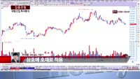 [집중관찰] 대림산업 (7) 투자분석 - 차대웅 MBN골드 전문가