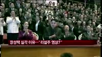 장성택 실각 이유…"리설주와 음란 영상때문?"
