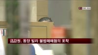 금감원, 동양그룹 빌라 불법매매혐의 포착