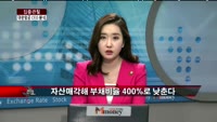 [집중관찰] 대한항공 (3) CEO분석 - 최은진 기자