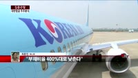 [집중관찰] 대한항공 (5) 주주분석 - 최은진 기자
