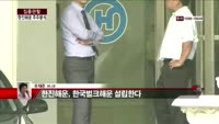 [집중관찰] 한진해운 (5) 주주분석 - 유재준 기자