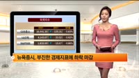 [해외시황] 미국과 중국제조업 PMI 부진‥2014 첫 거래일 뉴욕, 유럽 하락 마감