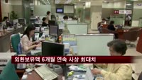 외환보유액 6개월 연속 사상 최대치