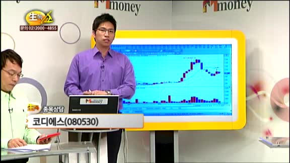 [종목상담] 코디에스(080530)