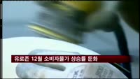유로존 12월 소비자물가 상승률 둔화