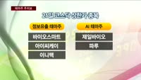 AI·개인정보 유출사건 테마주 '과열경계'