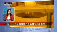 [집중관찰] SK하이닉스 (3) CEO분석 - 최은진 기자
