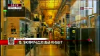 [집중관찰] SK하이닉스 (4) 주주분석 - 최은진 기자