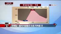 [집중관찰] 롯데관광개발 (5) 재무분석- 서민석 하나대투증권 차장