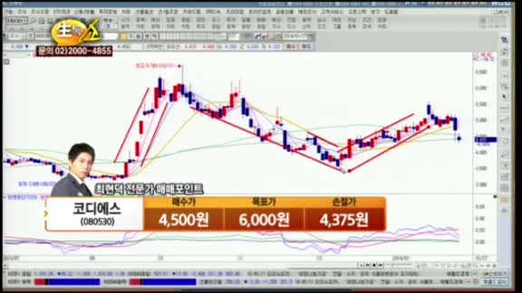[관심종목] 코디에스(080530)