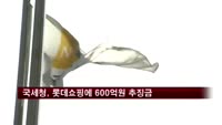 국세청, 롯데쇼핑에 600억원 추징금 부과