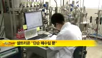 [취재파일M] '주가조작 혐의' 셀트리온 서정진 회장 소환 임박