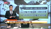 [보험박사에게 물어보세요] 계약자가 실종 시 보험금 수령 어떻게 하나?, 80%만 보장되는 실비, 따로 준비...