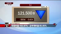 [집중관찰] CJ (5) 재무분석- 서민석 하나대투증권 차장
