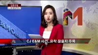 [집중관찰] CJ E&M (3) CEO분석 - 최은진 기자