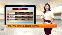 [해외 시황] 뉴욕, 유럽 혼조 마감,, S&P500;사상 최고 종가 재경신