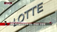[집중관찰] 롯데쇼핑 (2) 이슈분석 - 차영주 하이투자증권 차장
