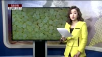 [집중관찰] 경남제약 CEO분석 (3) - 최은진 기자