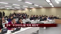 정부 "우크라이나발 악재 제한적"